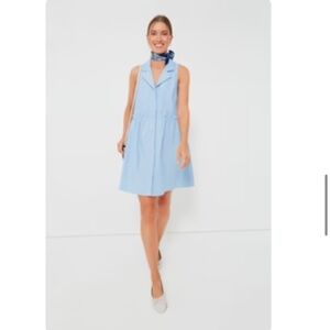 Tuckernuck Oxford Royal Shirt Dress